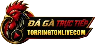 TORRINGTONLIVECOM